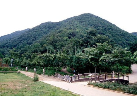 칠갑산자연휴양림 대표 이미지