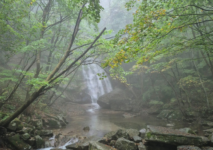 금원산자연휴양림 대표 이미지